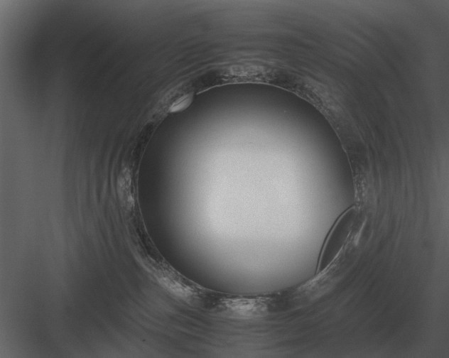 X0000084010187200702232214