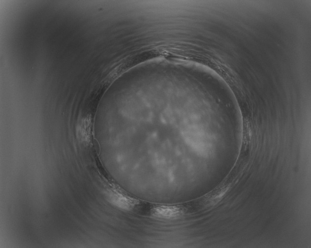 X0000084010189200702232214