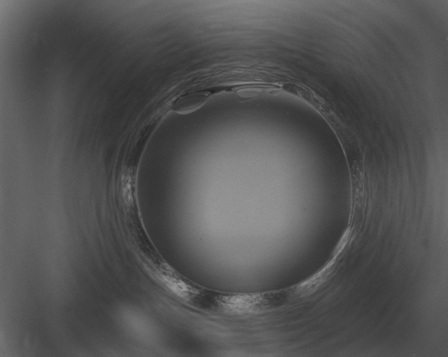 X0000084010191200702232214