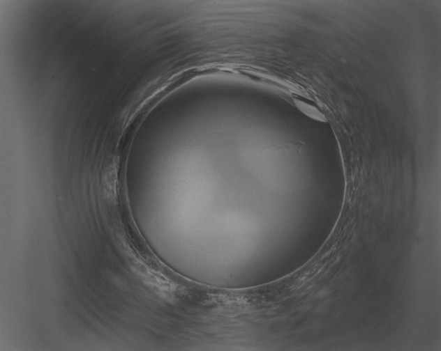 X0000084010194200702232213