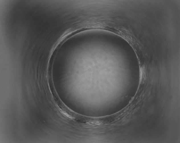 X0000084010195200702232213