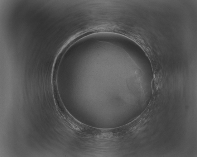 X0000084010196200702232213