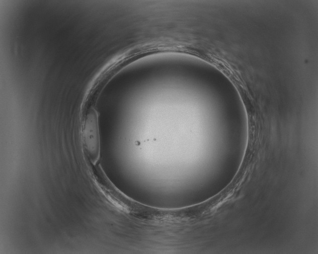 X0000084010197200702232213