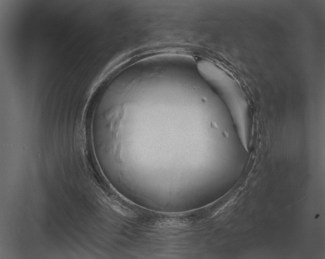 X0000084010198200702232213