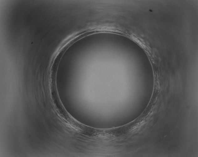 X0000084010199200702232213