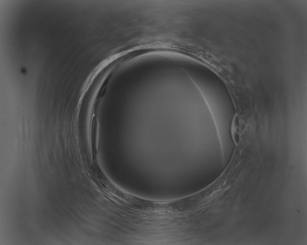 X0000084010200200702232213