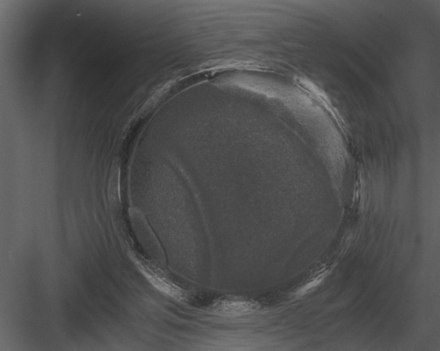 X0000084010205200702232213