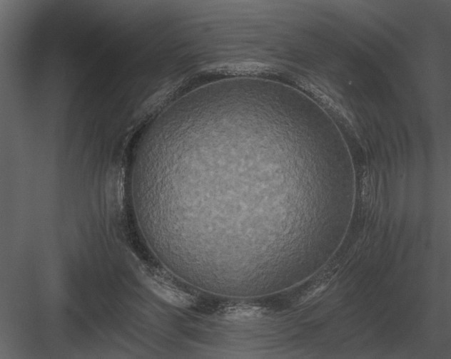 X0000084010206200702232213