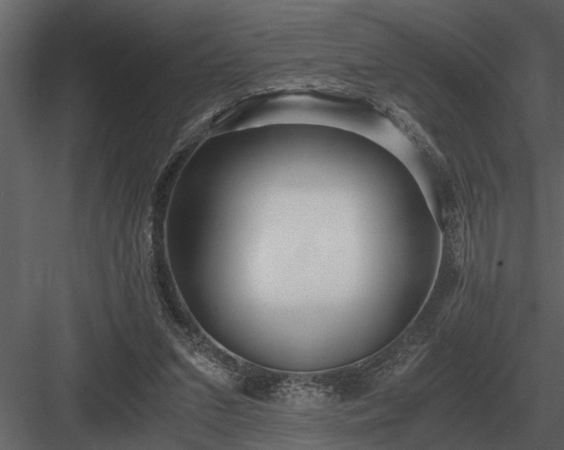 X0000084010207200702232213