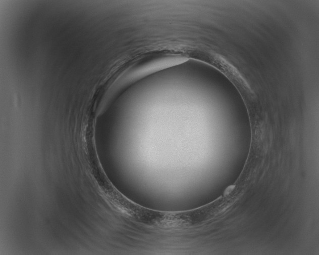 X0000084010209200702232213