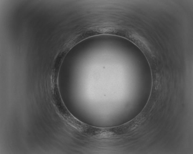 X0000084010210200702232213