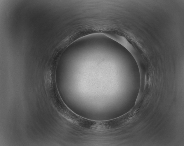 X0000084010211200702232213