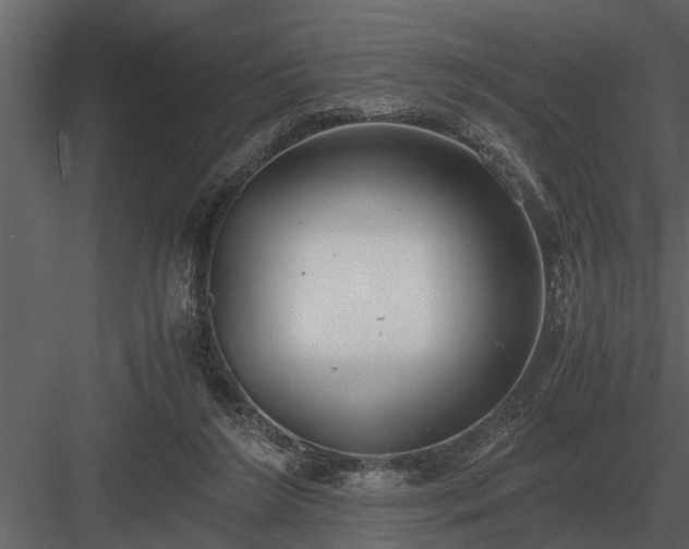 X0000084010212200702232213