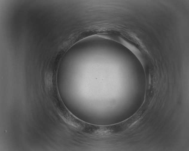 X0000084010213200702232213