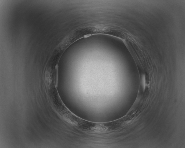 X0000084010215200702232213