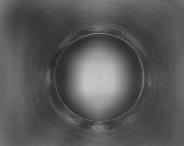 X0000084010216200702232213