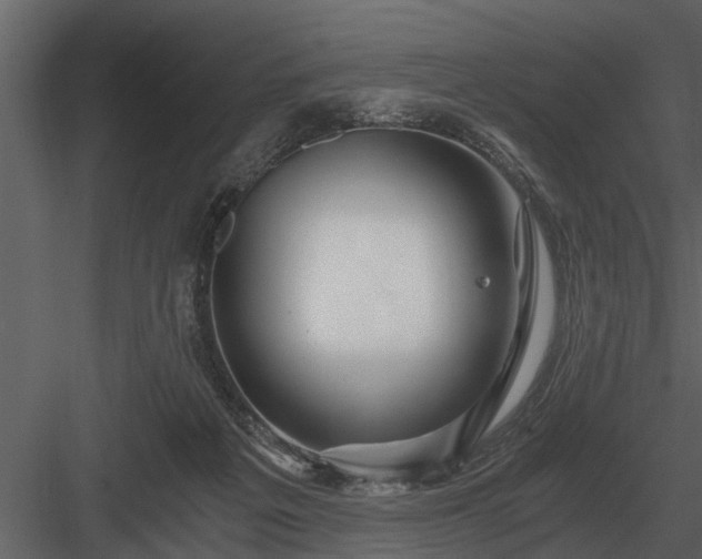 X0000084010217200702232213