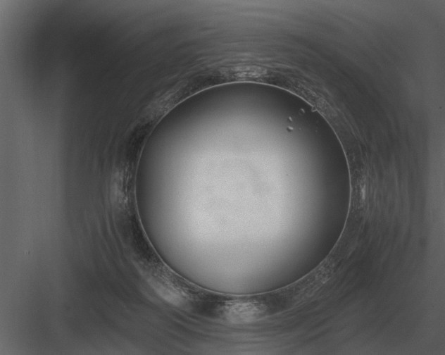 X0000084010218200702232213