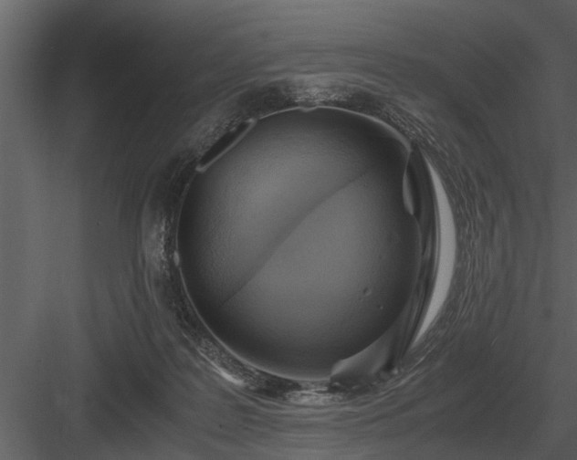 X0000084010219200702232213