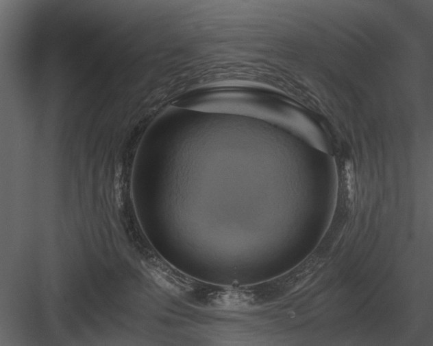 X0000084010223200702232213