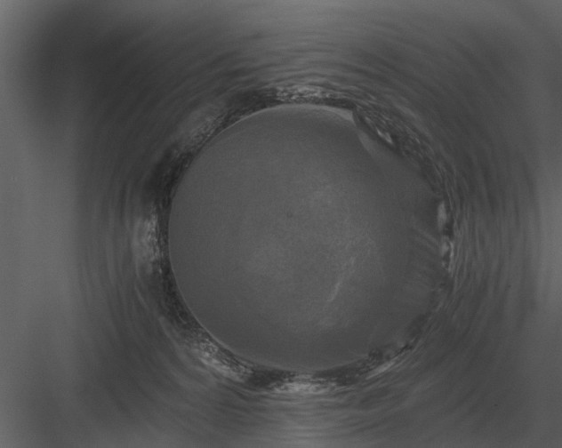 X0000084010224200702232213