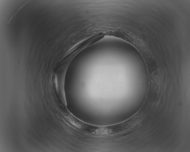 X0000084010225200702232213