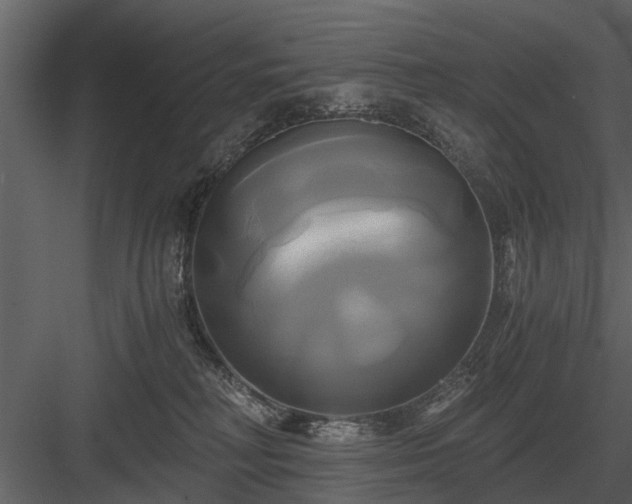 X0000084010230200702232213