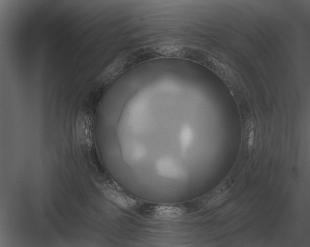 X0000084010234200702232213