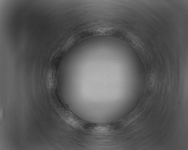 X0000084010236200702232213