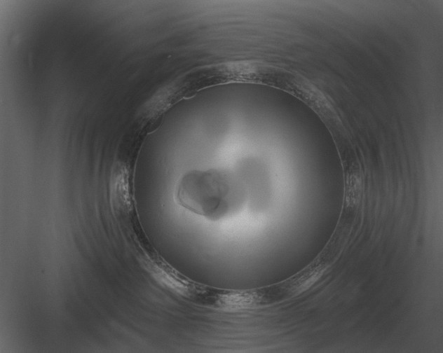 X0000084010238200702232213