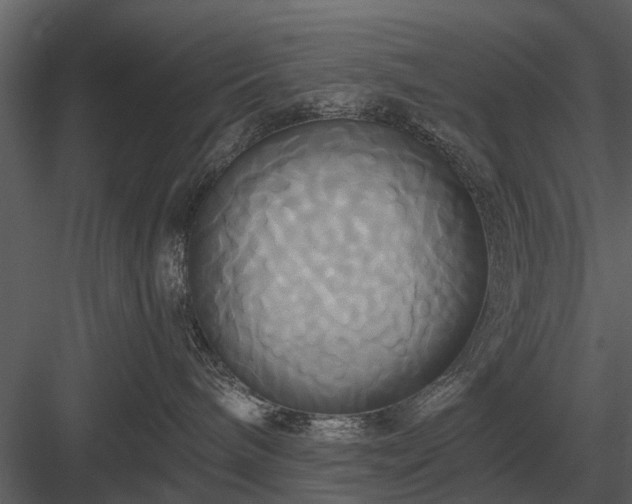 X0000084010240200702232213