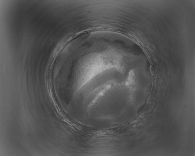 X0000084010241200702232212