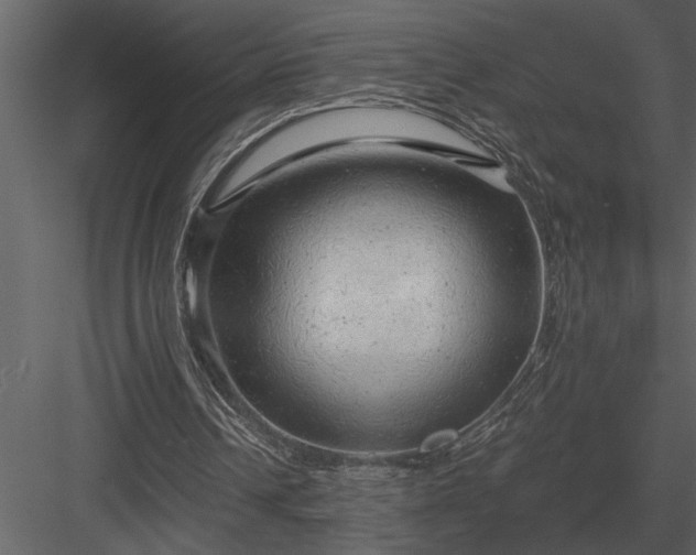 X0000084010242200702232212