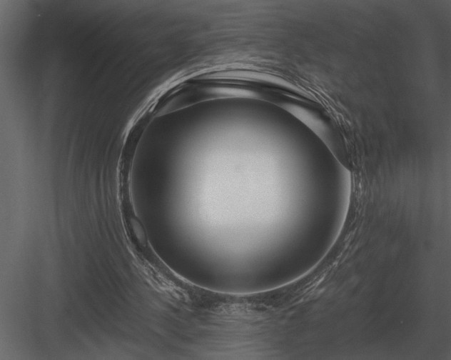 X0000084010244200702232212