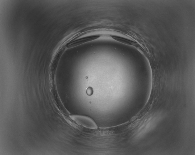 X0000084010245200702232212