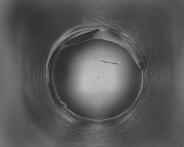 X0000084010246200702232212