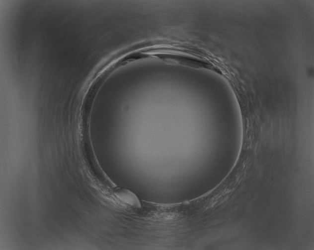 X0000084010247200702232212