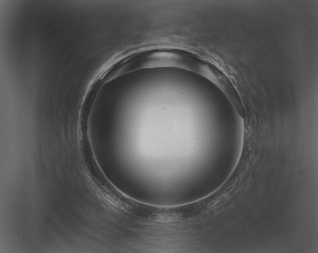 X0000084010248200702232212