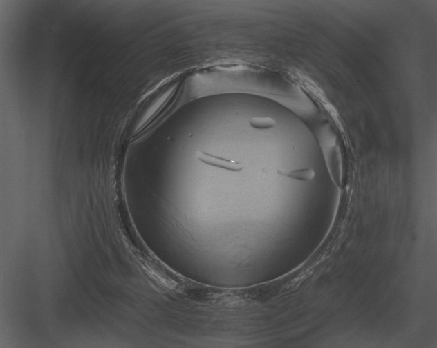 X0000084010249200702232212