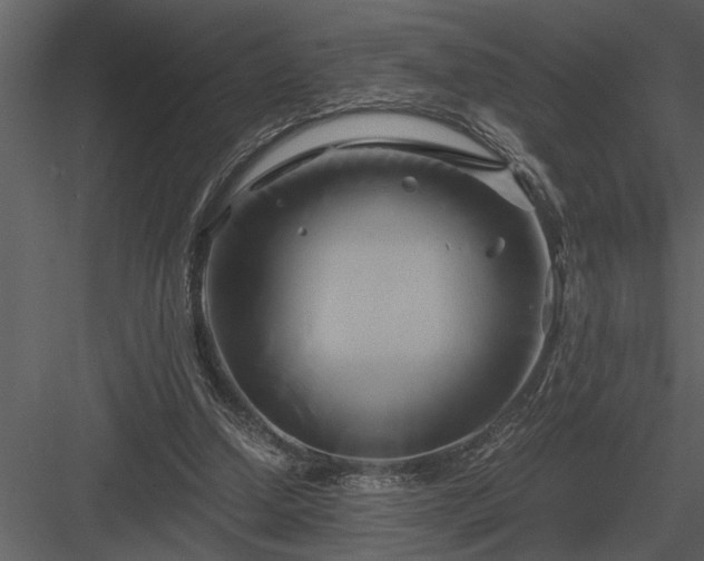 X0000084010250200702232212