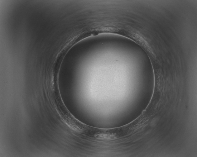 X0000084010251200702232212