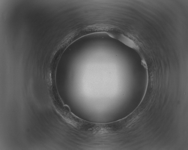 X0000084010254200702232212