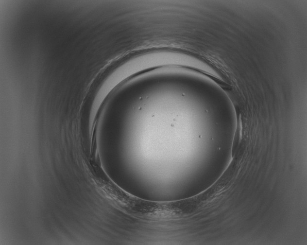 X0000084010256200702232212