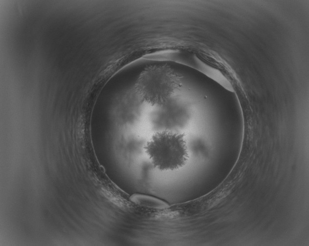 X0000084010257200702232212