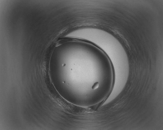 X0000084010260200702232212