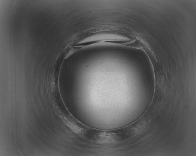 X0000084010261200702232212