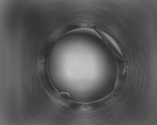 X0000084010263200702232212