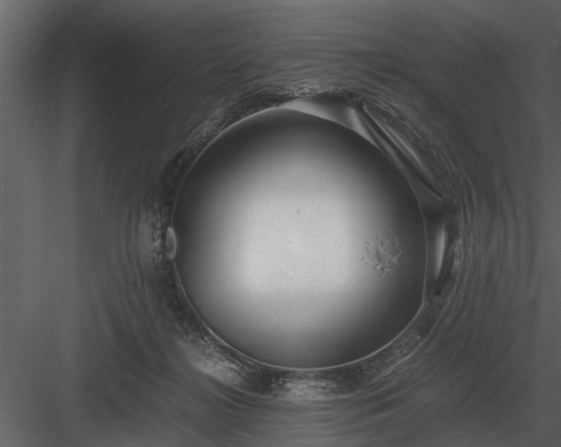 X0000084010268200702232212