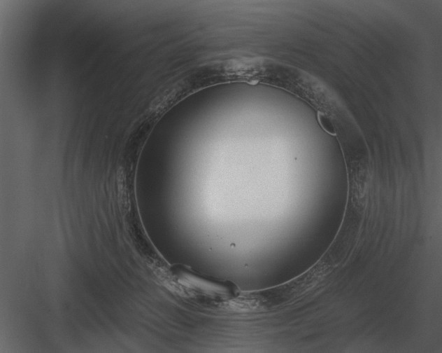 X0000084010270200702232212