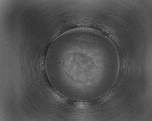 X0000084010273200702232212